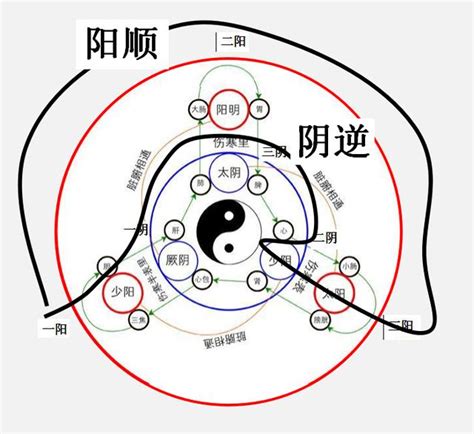 三陰三陽 日本|三陰三陽論 